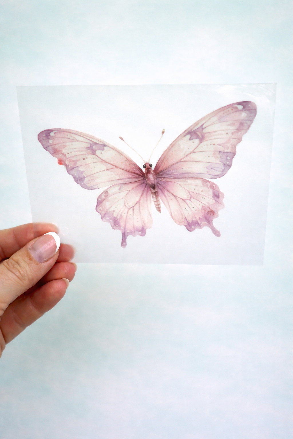 Bügelbild Schmetterling