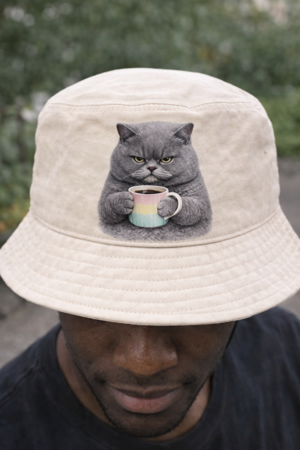 Bügelbild Crumpy Cat Nr. 5